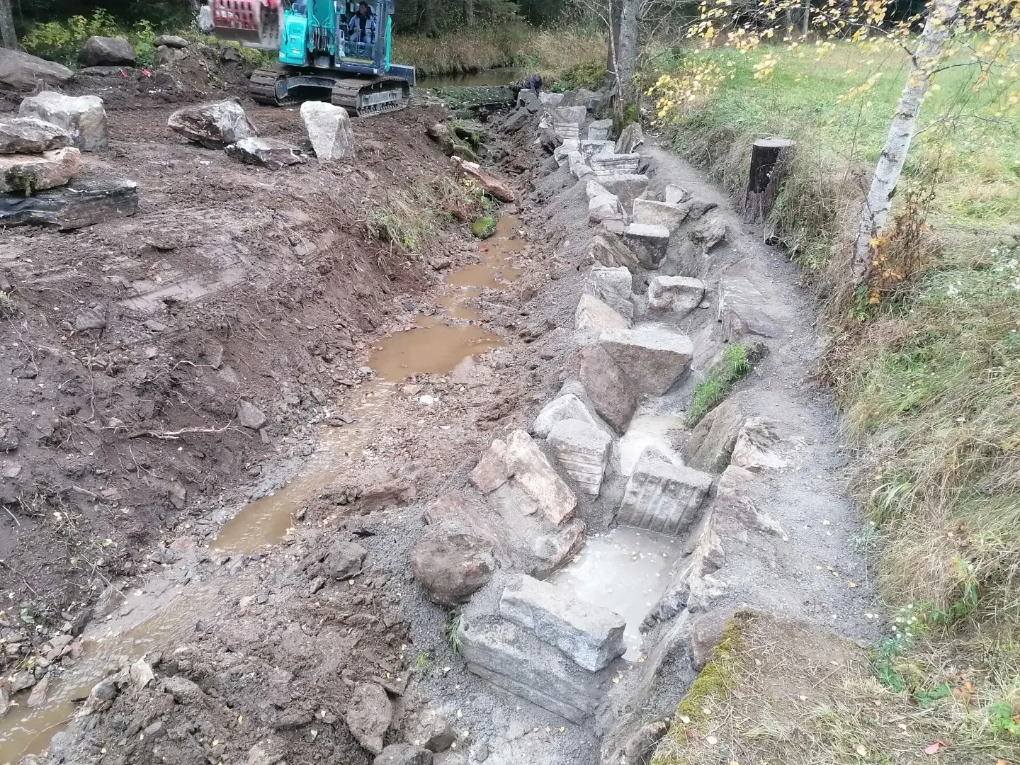 IMG 20231031 074826 Groß