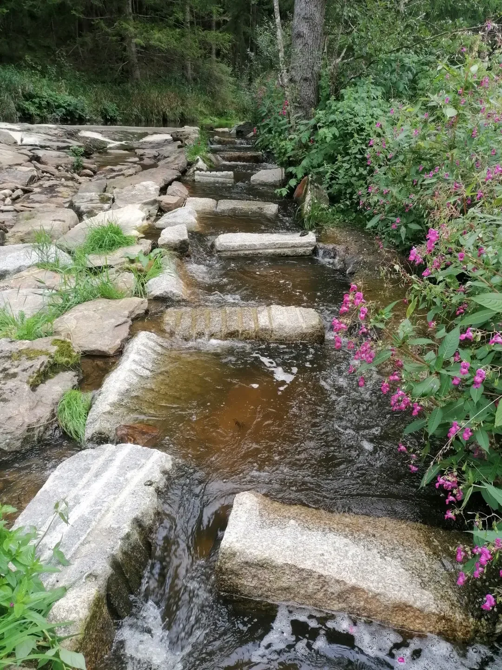 IMG 20240821 152648 Groß